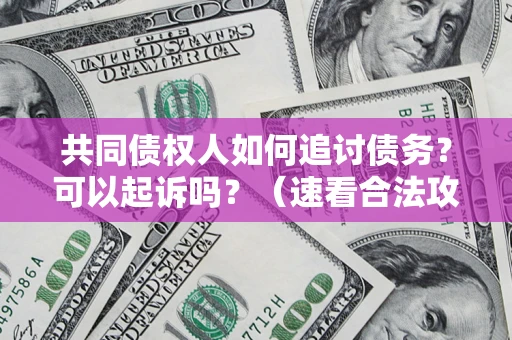 济南共同债权人如何追讨债务？可以起诉吗？（速看合法攻略）
