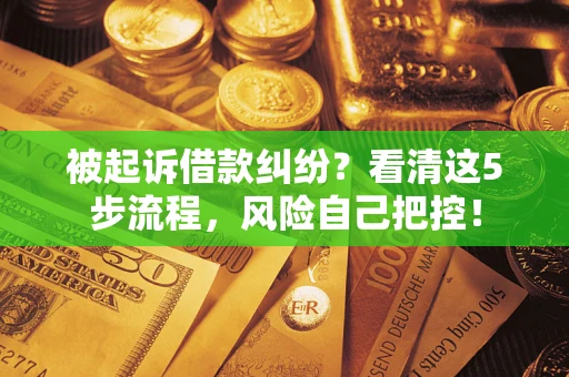 济南被起诉借款纠纷？看清这5步流程，风险自己把控！